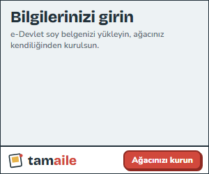 tamaile: e-Devlet soy belgenizi yükleyin, aile ağacınız kendiliğinden kurulsun